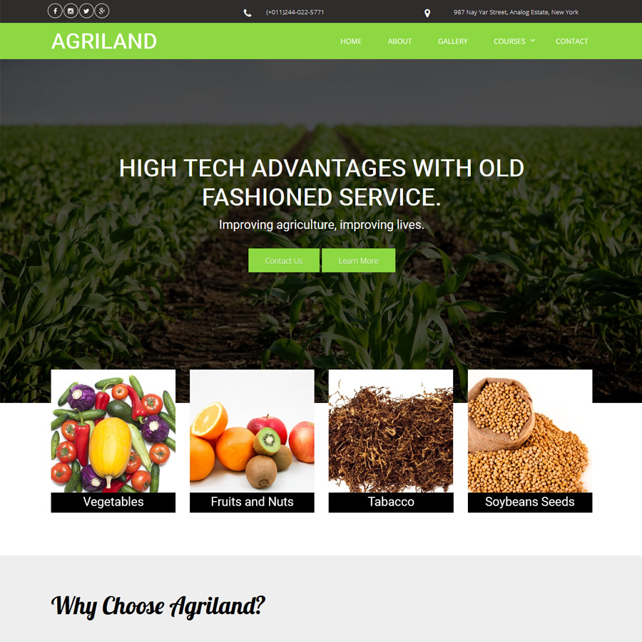 FREE Website Builder Theme AGRILAND