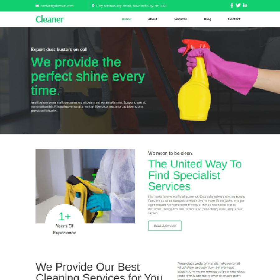 FREE Website Builder Theme Cleaner