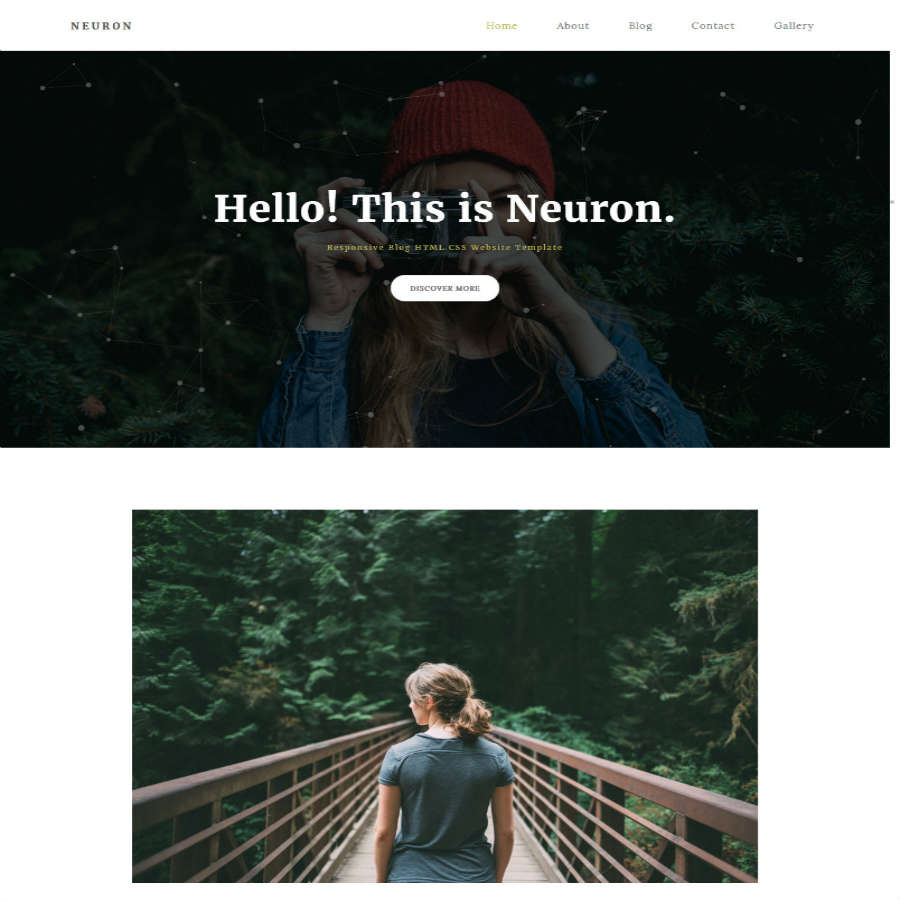FREE Website Builder Theme Neuron