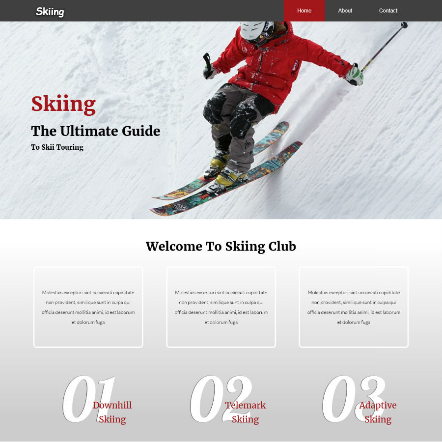 FREE Website Builder Theme Skiing
