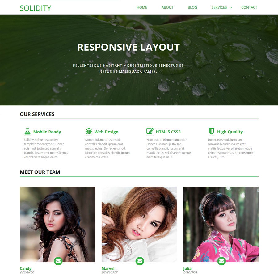 FREE Website Builder Theme Solidity